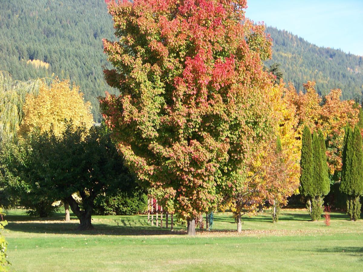 Bavarian Orchard Motel Creston Exteriér fotografie